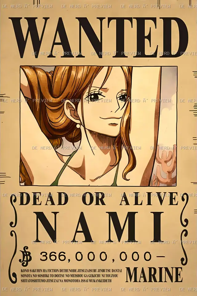 Anime · One Piece #309