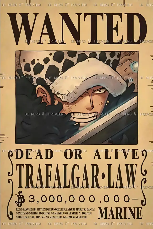 Anime · One Piece #306