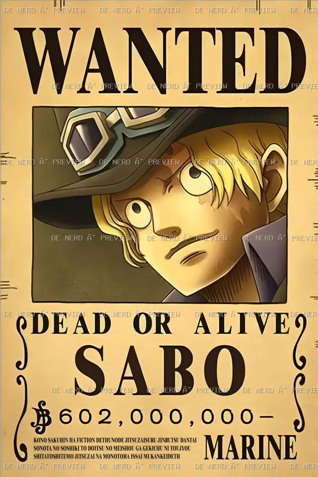 Anime · One Piece #313