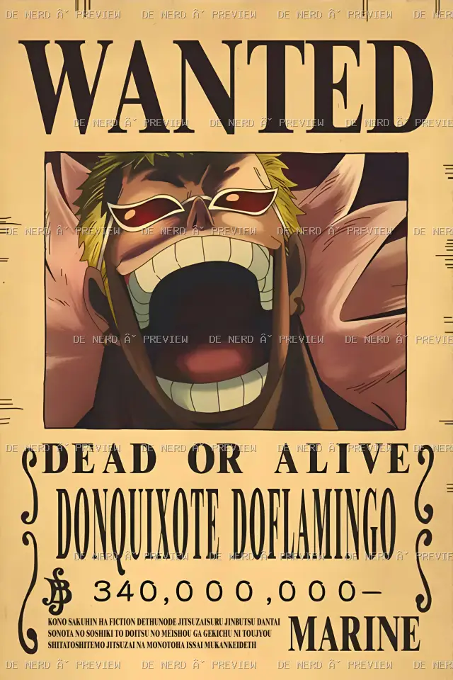 Anime · One Piece #301