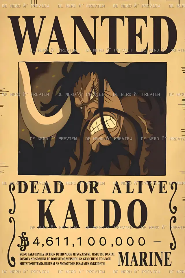 Anime · One Piece #305